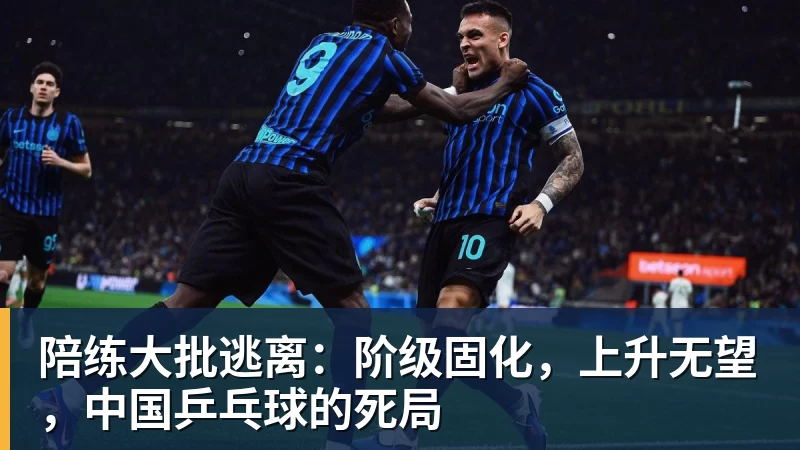 陪练大批逃离：阶级固化，上升无望，中国乒乓球的死局
