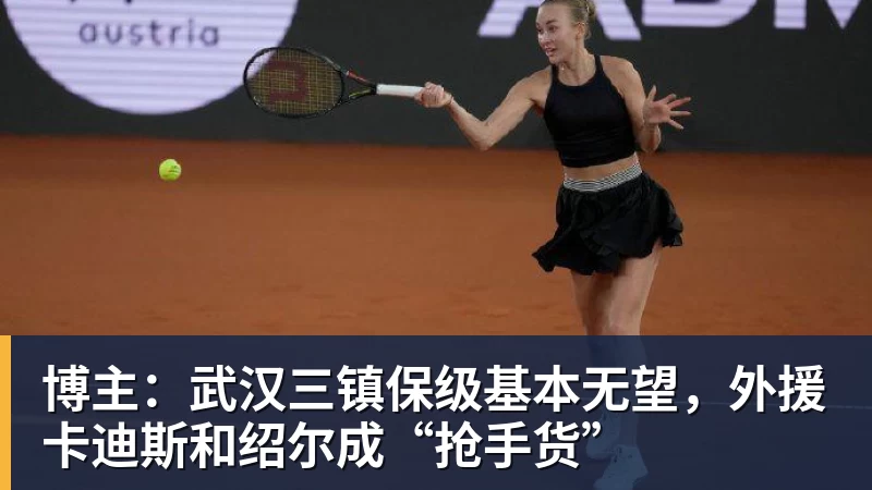 博主:武汉三镇保级基本无望,外援卡迪斯和绍尔成“抢手货”